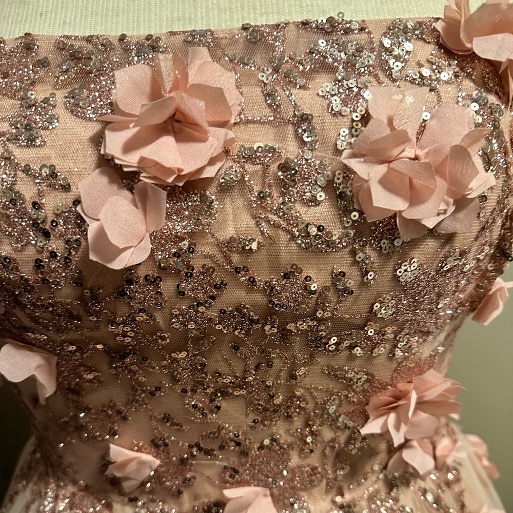 ⚡️SOLD⚡️Strapless Glitter Layered Tulle Ball Gown - Picture 7 of 11